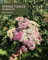 Herbal Medicine Workshop: Spring Tonics