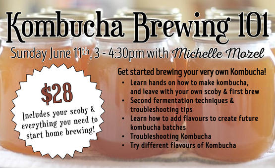Kombucha Brewing 101