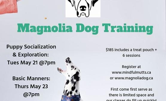 Group Dog Training Classes